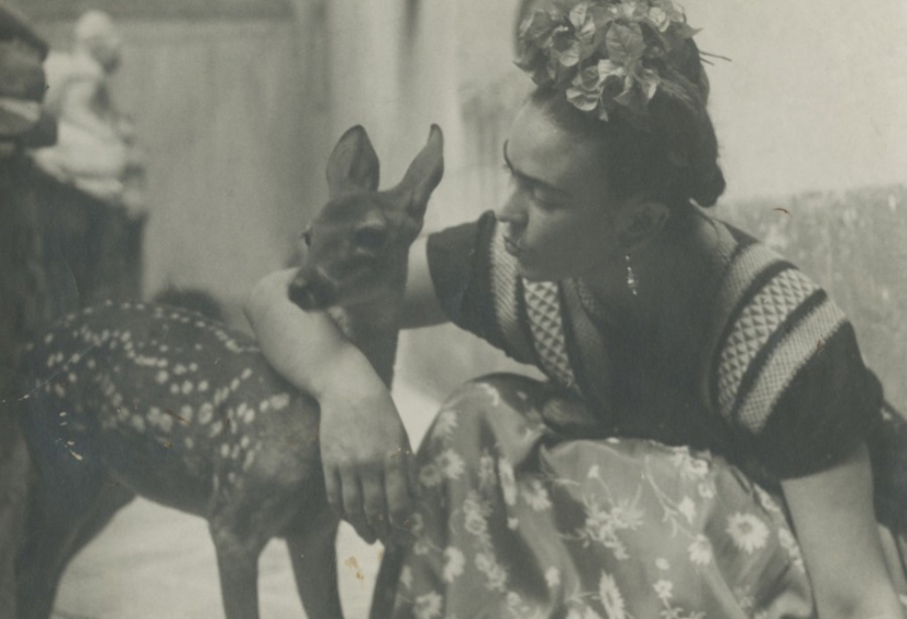 Fotos y cartas de amor secretas de Frida Kahlo Fotos y cartas de amor secretas de Frida Kahlo