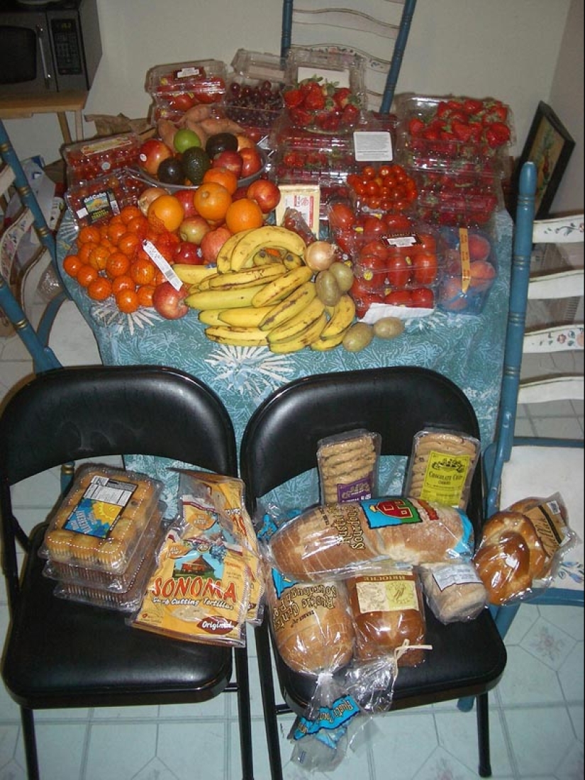 Freeganismo - negación del consumismo Freeganismo - negación del consumismo