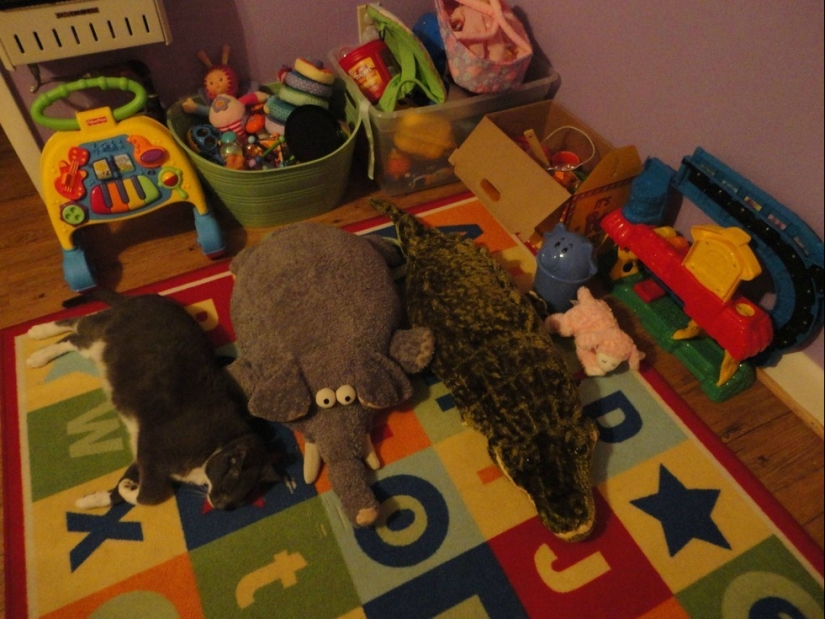 Friend among Foes, Friend among Foes: 18 Great cases of Disguise