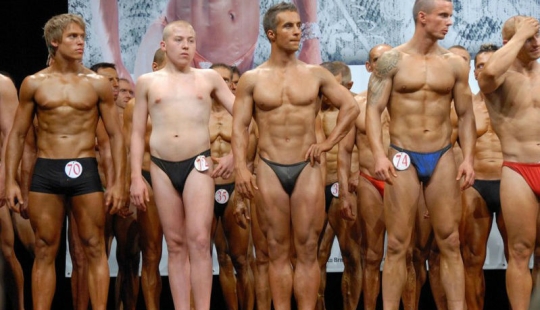 Friend among Foes, Friend among Foes: 18 Great cases of Disguise