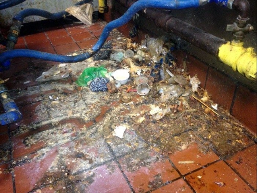 Frightening catering: 33 trashy moments from cafes and restaurants Frightening catering: 33 trashy moments from cafes and restaurants