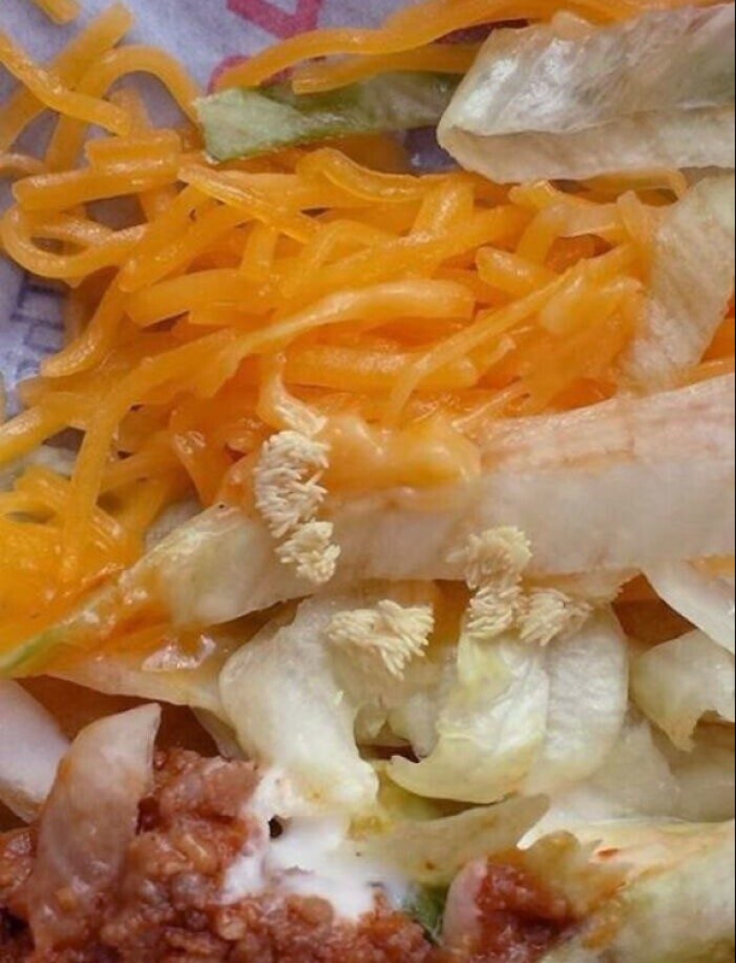 Frightening catering: 33 trashy moments from cafes and restaurants Frightening catering: 33 trashy moments from cafes and restaurants