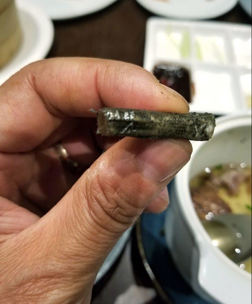 Frightening catering: 33 trashy moments from cafes and restaurants Frightening catering: 33 trashy moments from cafes and restaurants