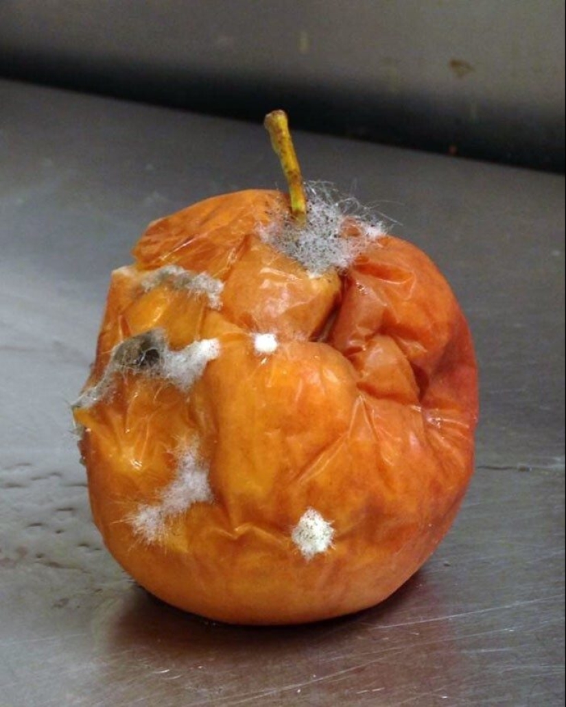 Frightening catering: 33 trashy moments from cafes and restaurants Frightening catering: 33 trashy moments from cafes and restaurants