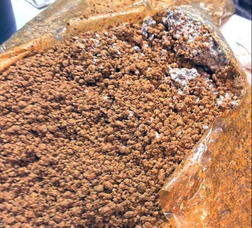 Frightening catering: 33 trashy moments from cafes and restaurants Frightening catering: 33 trashy moments from cafes and restaurants