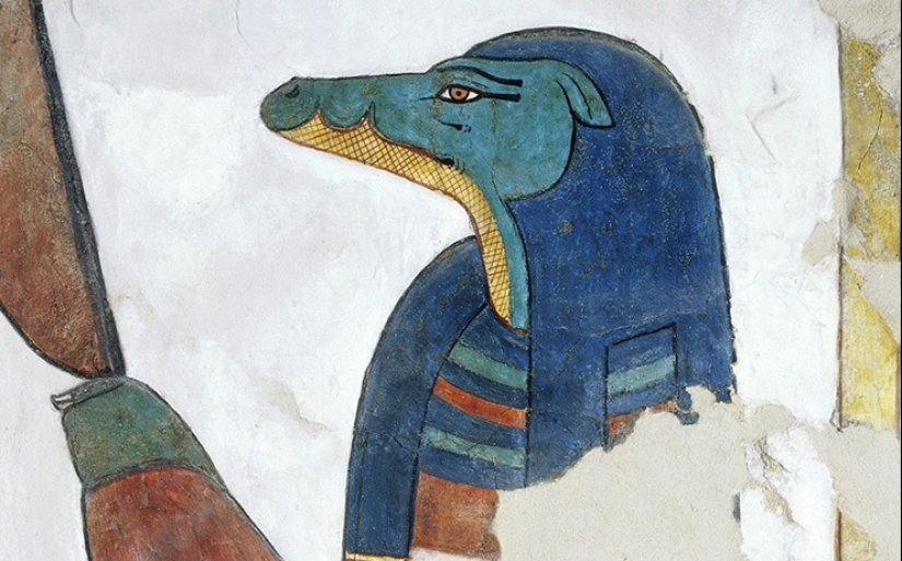 From Cola to beaver testicles: 9 of the strangest contraceptive methods from the past