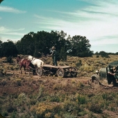 From horses to " Ford»: how the Wild West was "domesticated"