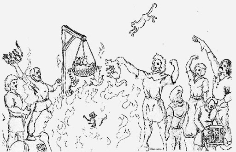 From love to hatred: the history of difficult relations between people and cats From love to hatred: the history of difficult relations between people and cats