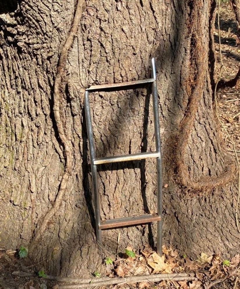 From Malachite to Zimbabwe's Trillion: 22 Amazing Photos You Don't See Every Day From Malachite to Zimbabwe's Trillion: 22 Amazing Photos You Don't See Every Day