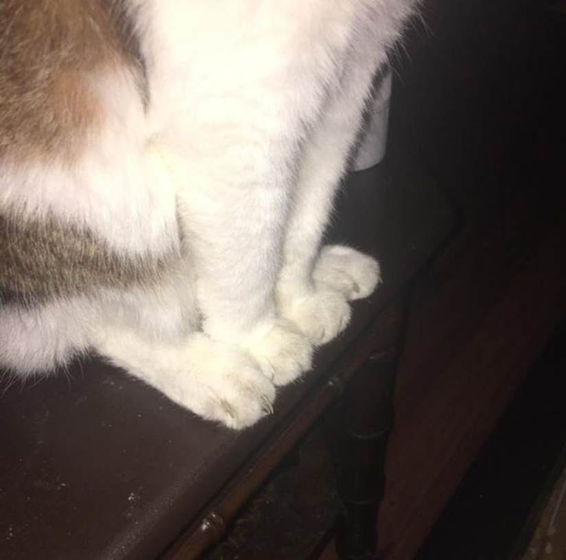 From Malachite to Zimbabwe's Trillion: 22 Amazing Photos You Don't See Every Day From Malachite to Zimbabwe's Trillion: 22 Amazing Photos You Don't See Every Day