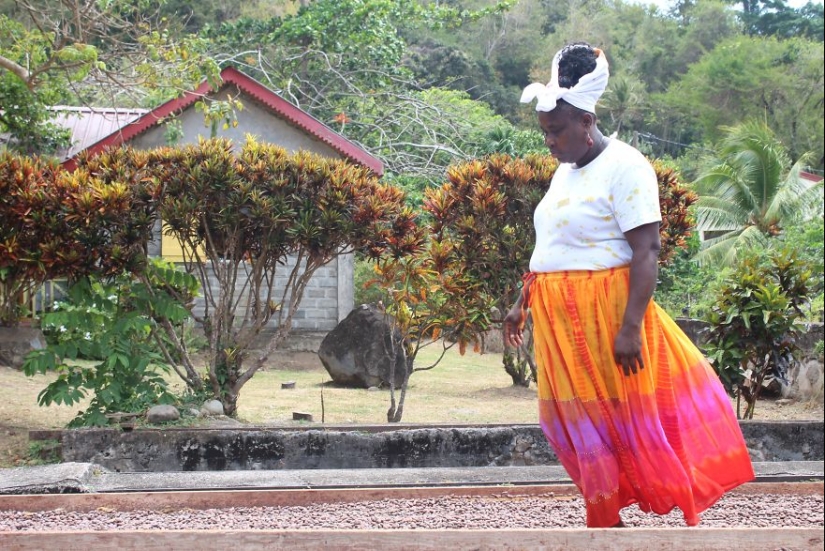 From the pods on the tree to the finished chocolate bar: how do craftsy chocolate