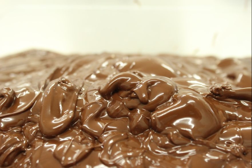 From the pods on the tree to the finished chocolate bar: how do craftsy chocolate