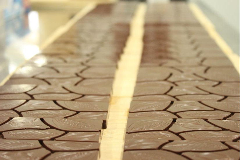 From the pods on the tree to the finished chocolate bar: how do craftsy chocolate