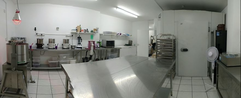 From the pods on the tree to the finished chocolate bar: how do craftsy chocolate