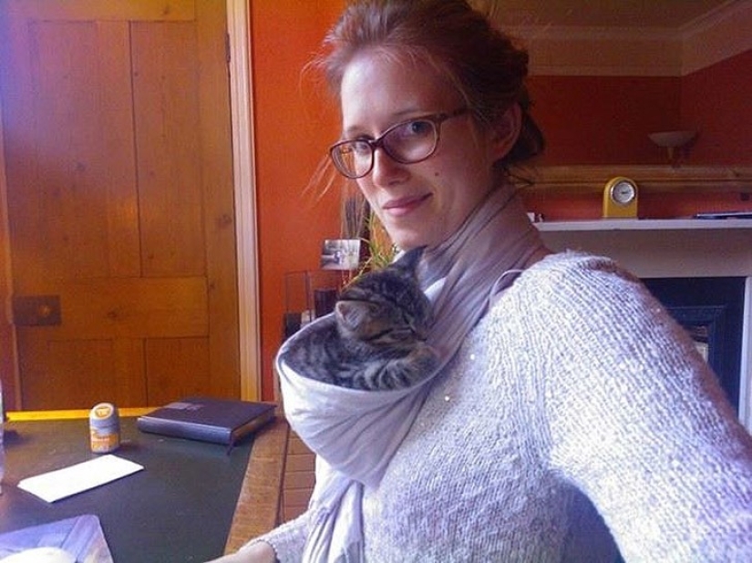 Funny animals that need the attention of the owner right now