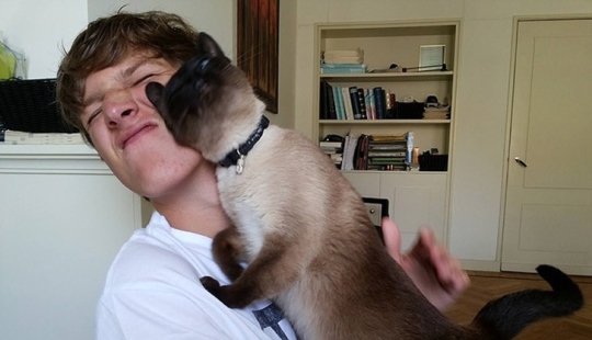 Funny animals that need the attention of the owner right now Funny animals that need the attention of the owner right now