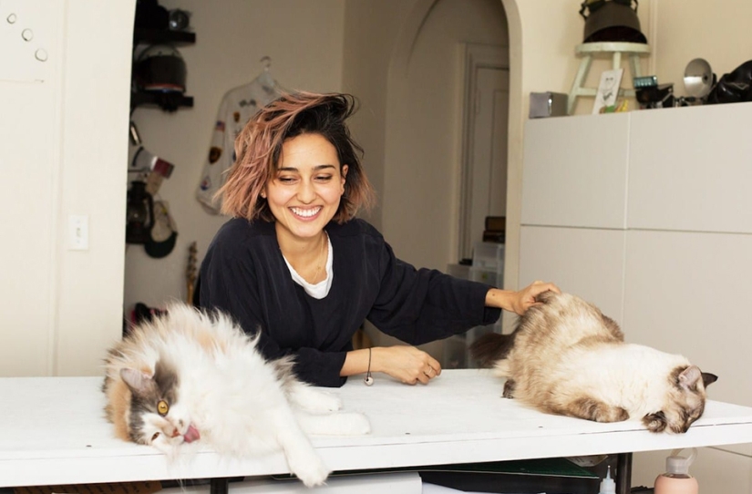 Gatos Hembra