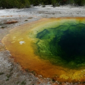Geysers, bison, and other sights of Yellowstone