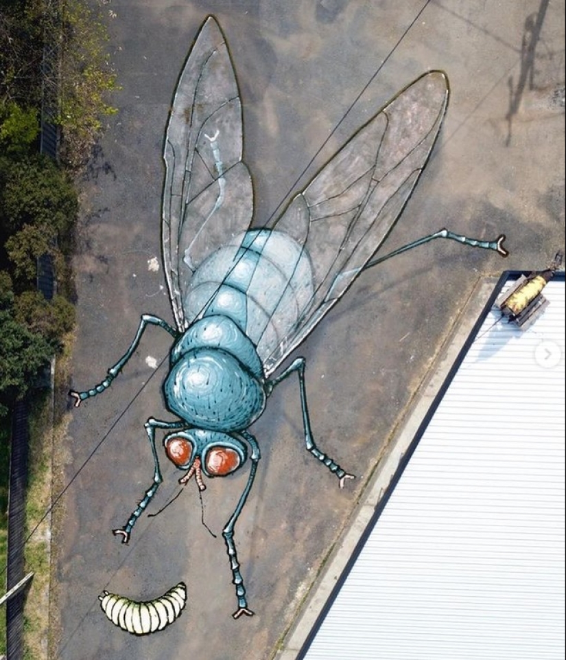 Giant murals on the ground by Australian Kitt Bennett