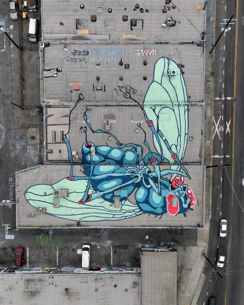 Giant murals on the ground by Australian Kitt Bennett