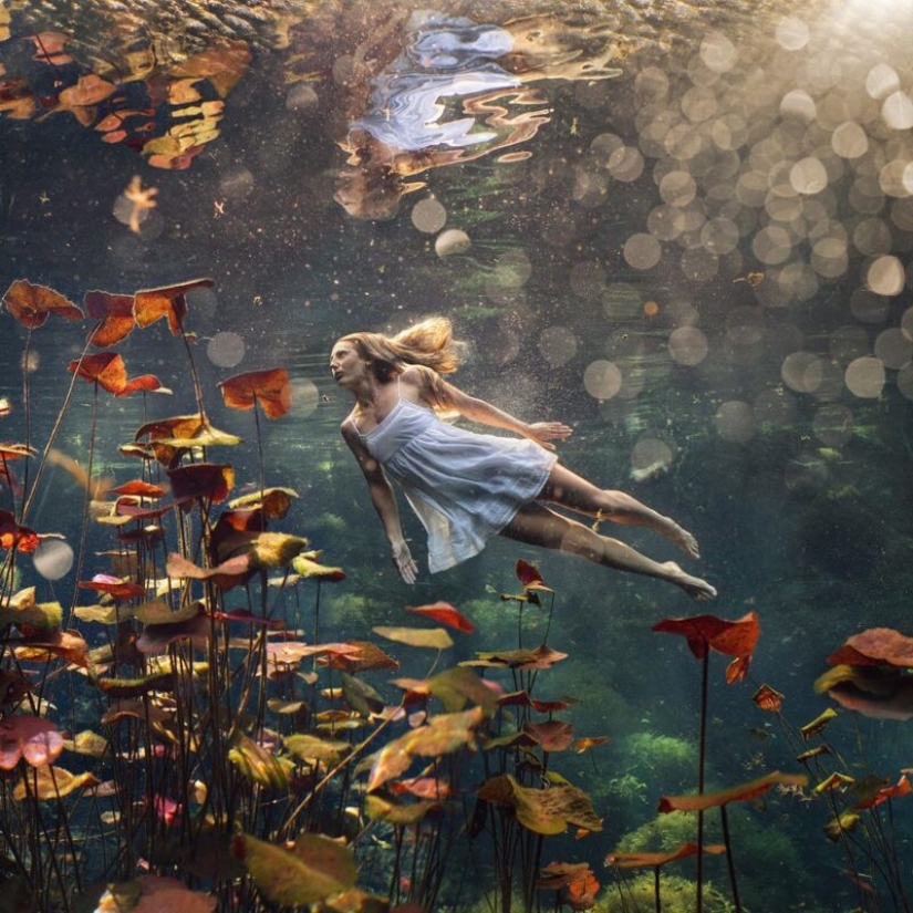Girls under water in stunning pictures of freediver photographer Lexi Line Girls under water in stunning pictures of freediver photographer Lexi Line