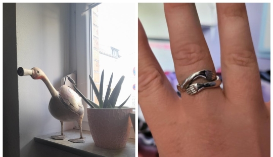 "Give me two!" 22 strange and cool things that make you want to possess them