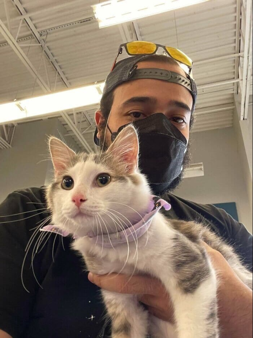 Gracias, gente! 30 animales sin hogar que recibieron una nueva vida Gracias, gente! 30 animales sin hogar que recibieron una nueva vida