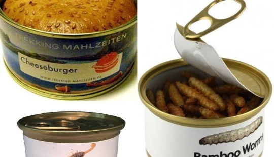 Grasshoppers, alligator, bread and corn... fungus: the craziest canned
