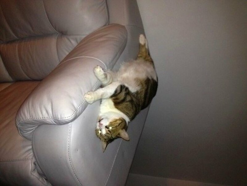 "Gravity is broken or why is it not falling?": 20 photos that defy the laws of physics