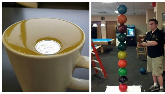 "Gravity is broken or why is it not falling?": 20 photos that defy the laws of physics