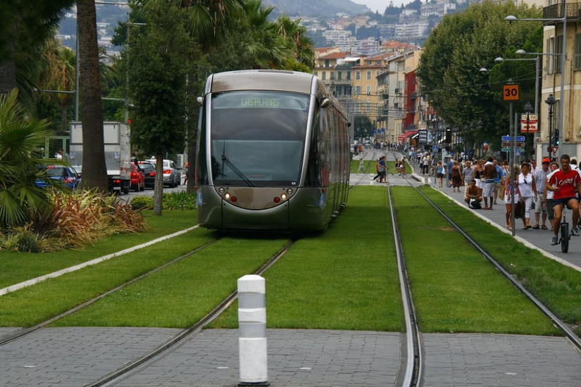 Green tram tracks in Europe