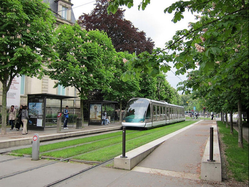 Green tram tracks in Europe