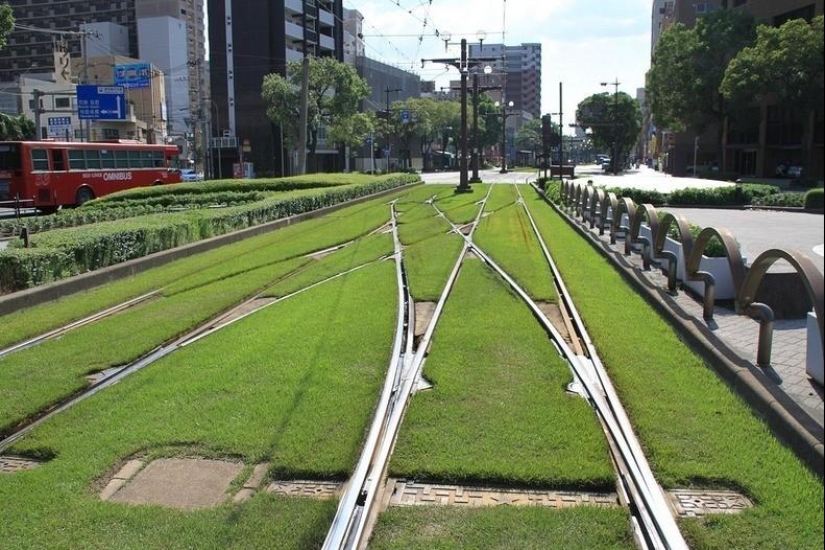 Green tram tracks in Europe