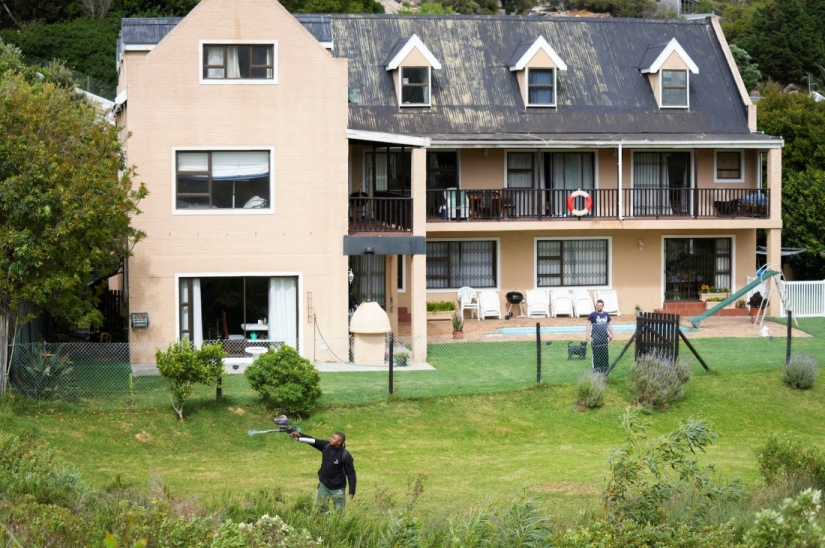 Guerras de babuinos: monos agresivos en Ciudad del Cabo atacan a la gente Guerras de babuinos: monos agresivos en Ciudad del Cabo atacan a la gente