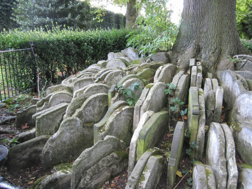 Hardy's gravestone tree with hundreds of tombstones