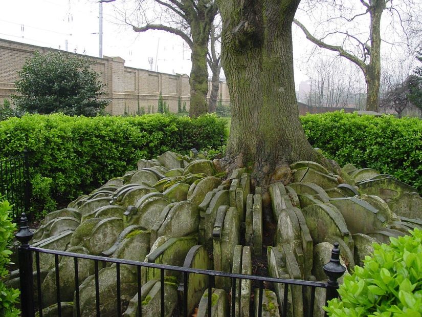 Hardy's gravestone tree with hundreds of tombstones