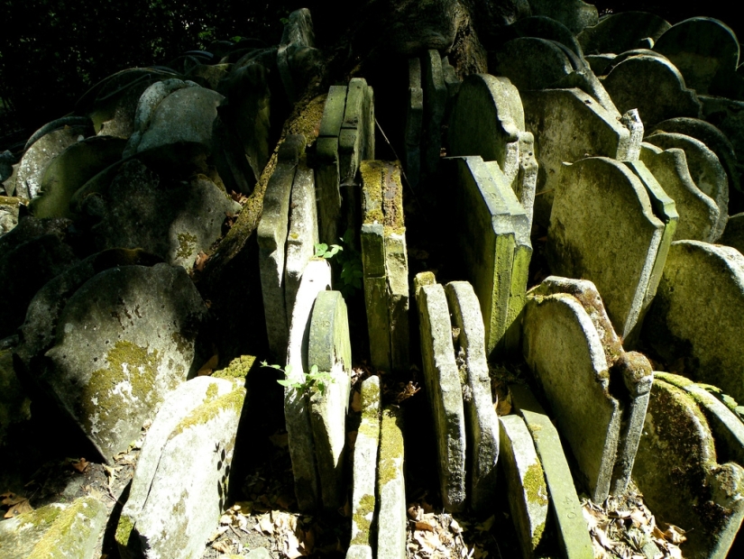 Hardy's gravestone tree with hundreds of tombstones