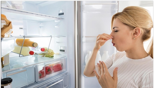 Harmless mold: Which spoiled foods can be safely eaten