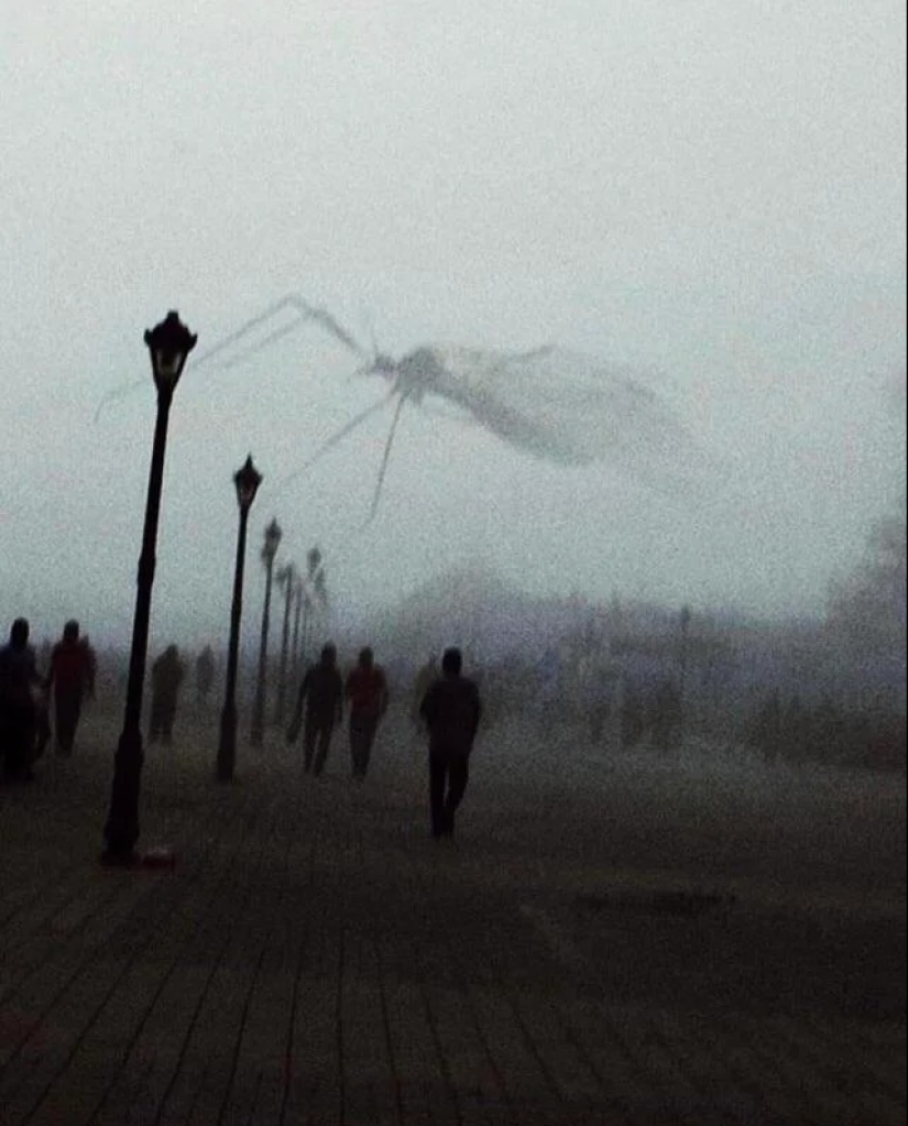 Hasta la piel de gallina: 22 fotos en las que ves algo terrible