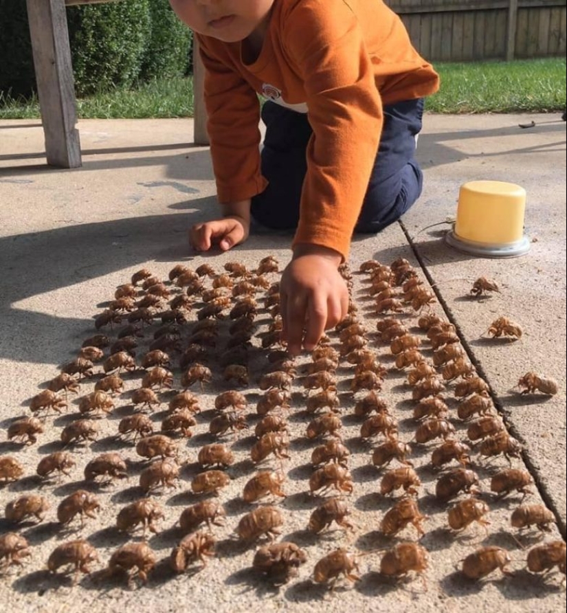 Hasta la piel de gallina: 22 fotos en las que ves algo terrible