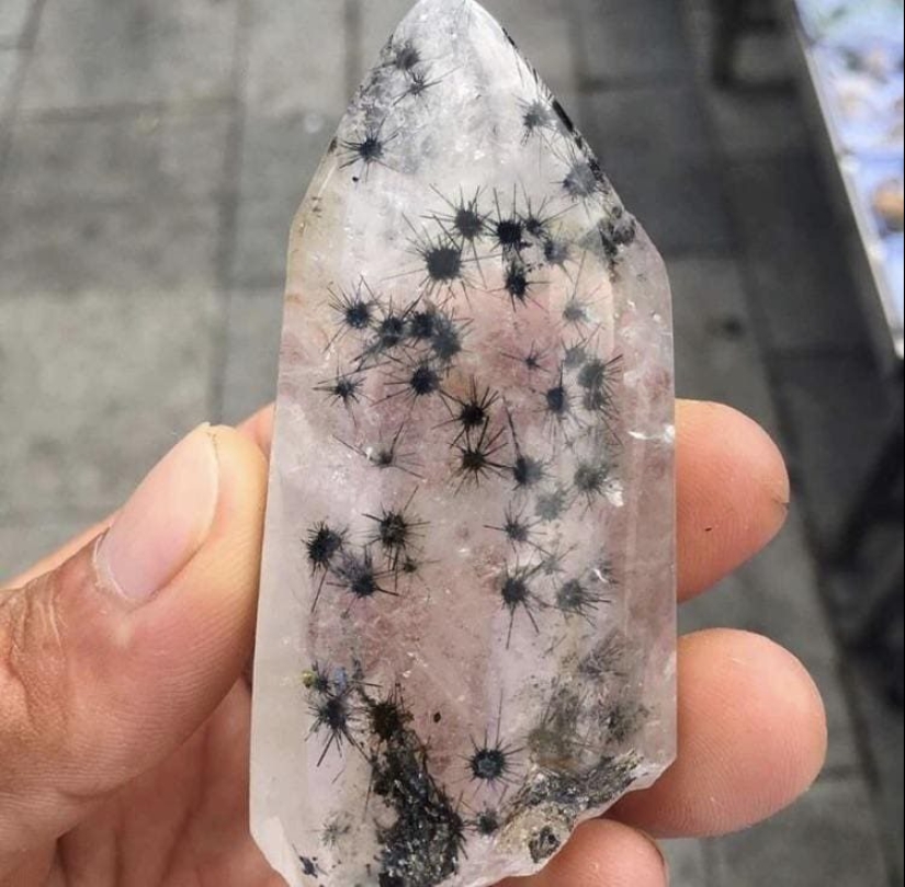 Hasta la piel de gallina: 22 fotos en las que ves algo terrible