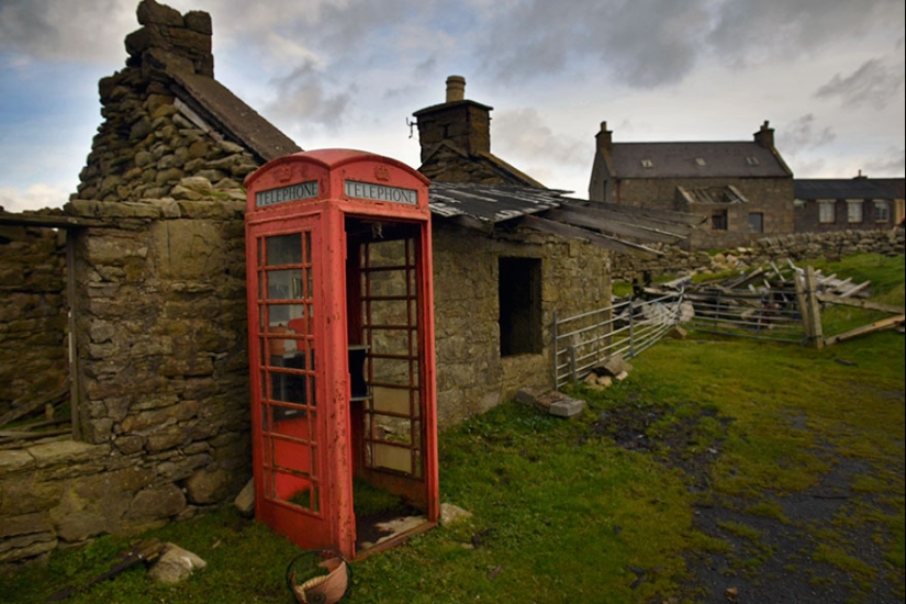 Hay más ponis en esta fabulosa isla que personas