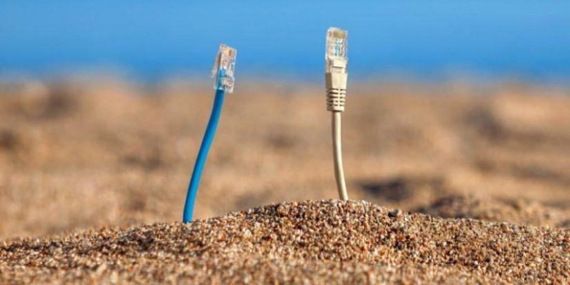 Hay que proteger Internet ... ataques de tiburones Hay que proteger Internet ... ataques de tiburones