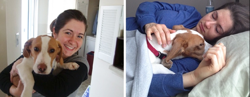 Heart breaks: the first and last photos of the owners with their pets Heart breaks: the first and last photos of the owners with their pets