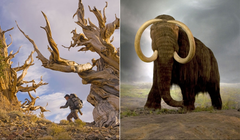 Historical facts that will make you take a different look at the concept of time