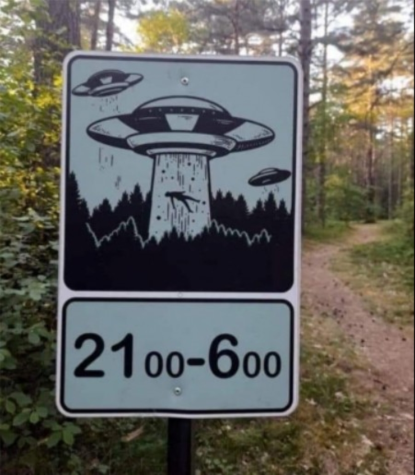 Hoia-Baciu Forest: Why This Place Has a Reputation as the “Romanian Bermuda Triangle” Hoia-Baciu Forest: Why This Place Has a Reputation as the “Romanian Bermuda Triangle”