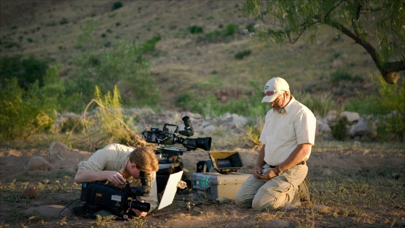 Hormigas melíferas: cómo crear una vida dulce para ti si las condiciones no son el azúcar Hormigas melíferas: cómo crear una vida dulce para ti si las condiciones no son el azúcar
