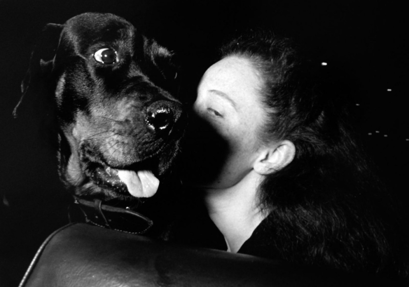 How a simple taxi driver from New York became famous How a simple taxi driver from New York became famous