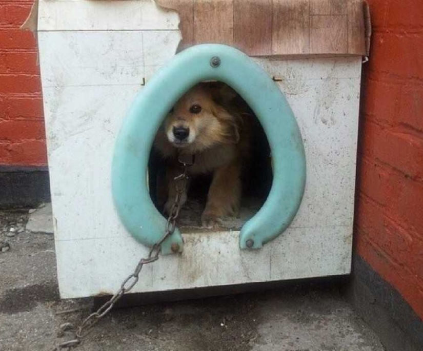 How do you like this, Elon Musk: 22 dubious inventions of domestic geniuses How do you like this, Elon Musk: 22 dubious inventions of domestic geniuses