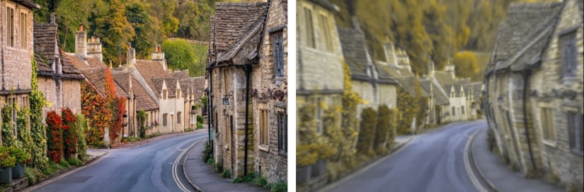 How dogs see How dogs see